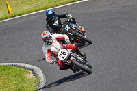 Vintage-motorcycle-club;eventdigitalimages;mallory-park;mallory-park-trackday-photographs;no-limits-trackdays;peter-wileman-photography;trackday-digital-images;trackday-photos;vmcc-festival-1000-bikes-photographs